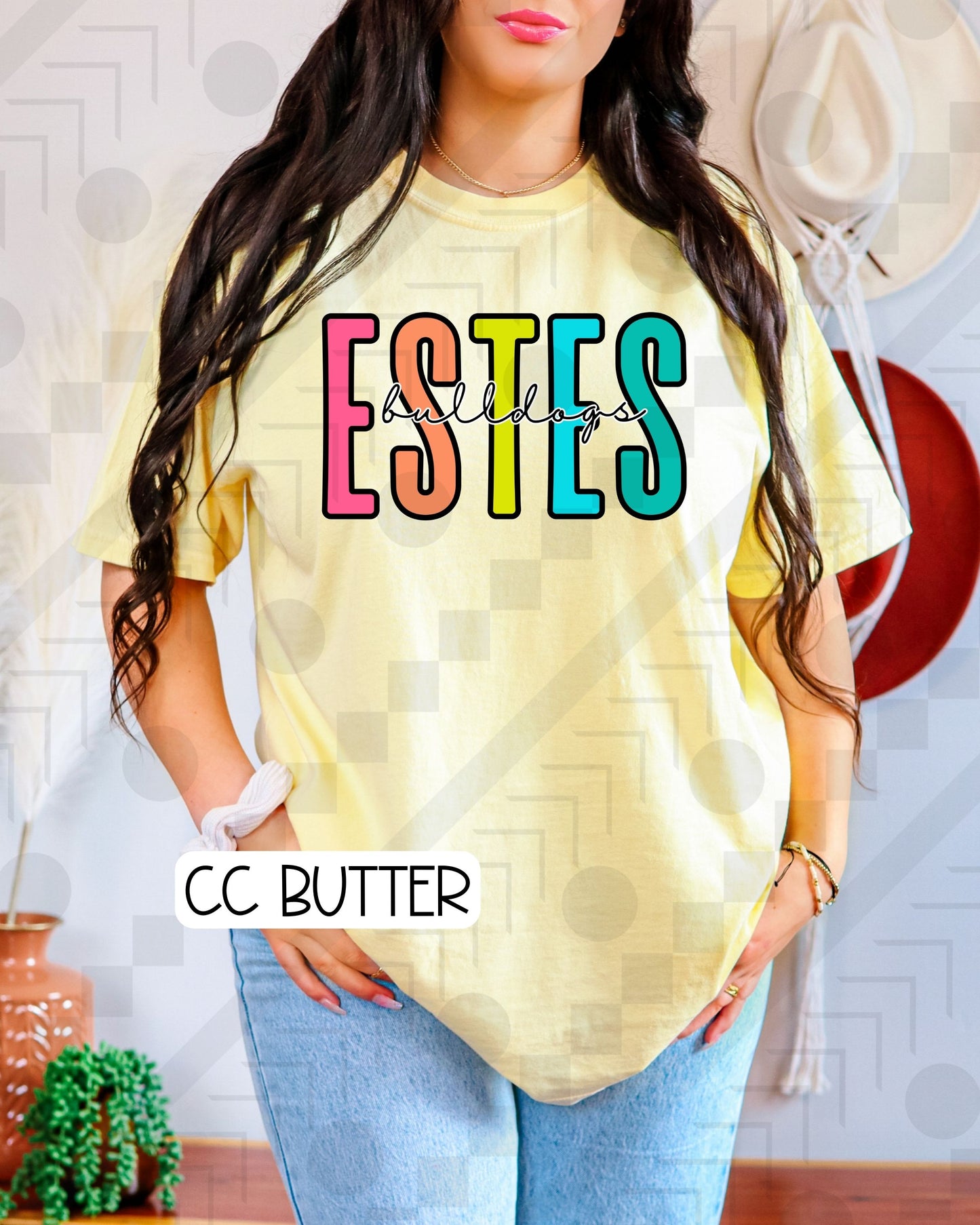 P. Condensed Schools (Tee, Sweatshirt, or Long-Sleeve)