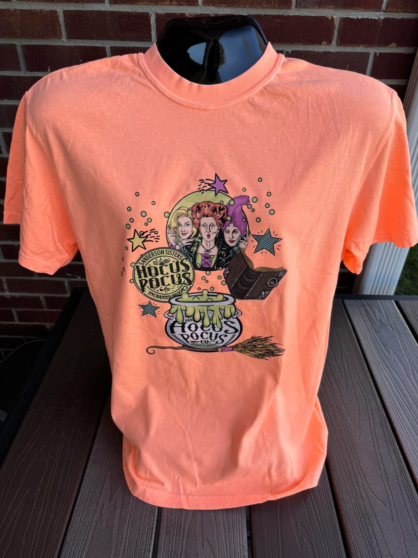 Sanderson Sisters (Tee, Sweatshirt, or Long-Sleeve)