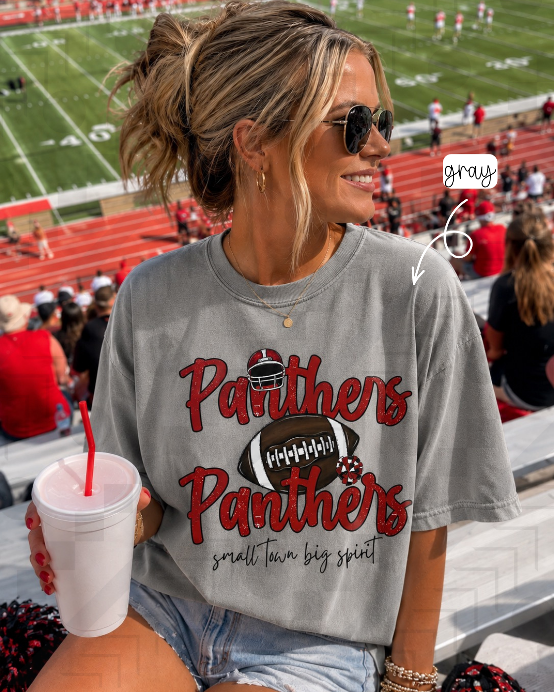 Panthers - Small Town Big Pride (Tee, Sweatshirt, or Long-Sleeve)