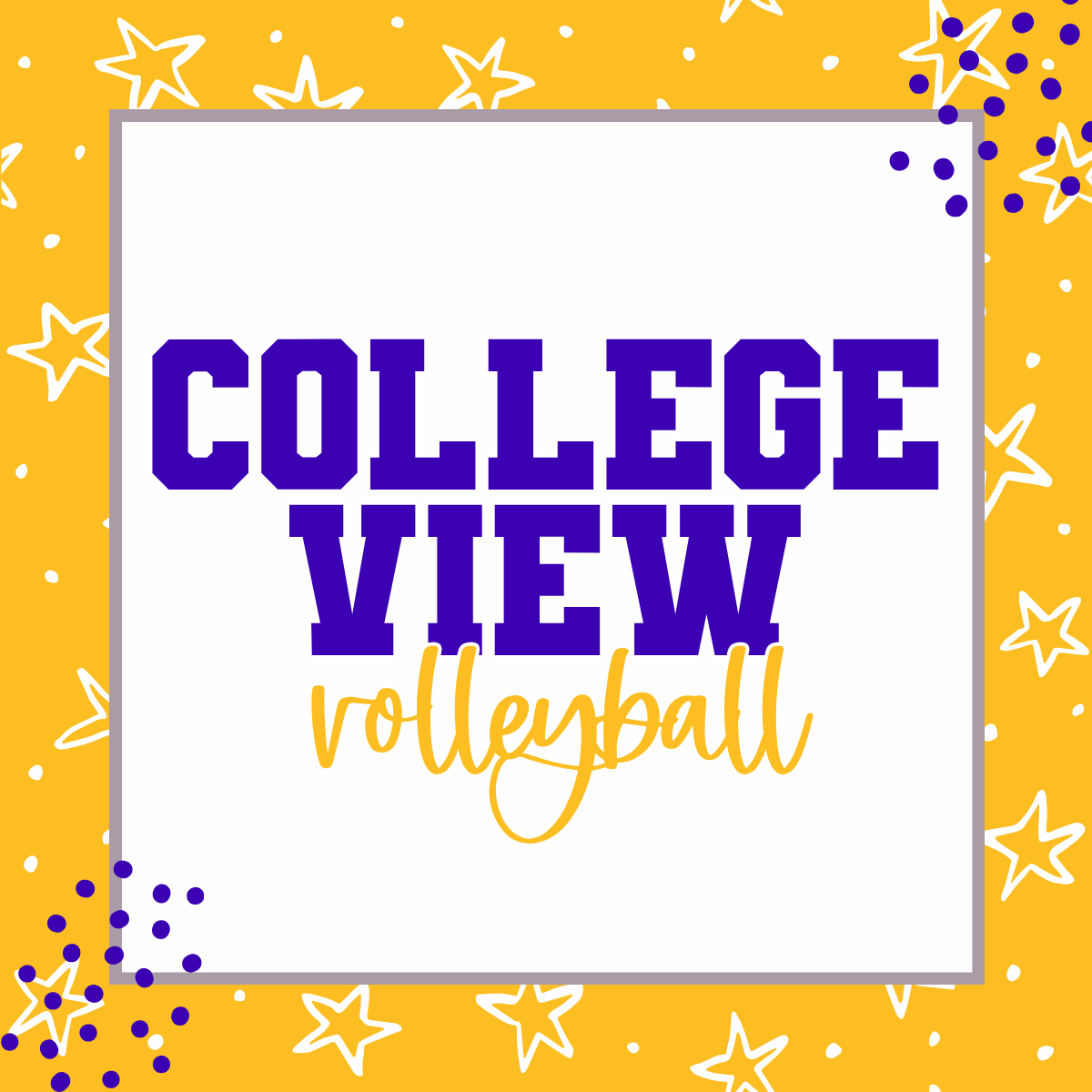 College View Volleyball