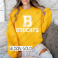 Big Varsity Schools (Tee, Sweatshirt, or Long-Sleeve)