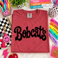 Athletic Swoosh Schools (Tee, Sweatshirt, or Long-Sleeve)