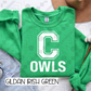 Big Varsity Schools (Tee, Sweatshirt, or Long-Sleeve)