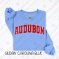 Oversized Varsity Schools/Occupations (Tee, Sweatshirt, or Long-Sleeve)