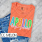 Bright Summer Level Schools (Tee, Sweatshirt, or Long-Sleeve)