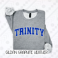 Oversized Varsity Schools/Occupations (Tee, Sweatshirt, or Long-Sleeve)