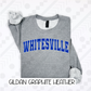 Oversized Varsity Schools/Occupations (Tee, Sweatshirt, or Long-Sleeve)