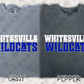 Funky Schools (Tee, Sweatshirt, or Long-Sleeve)