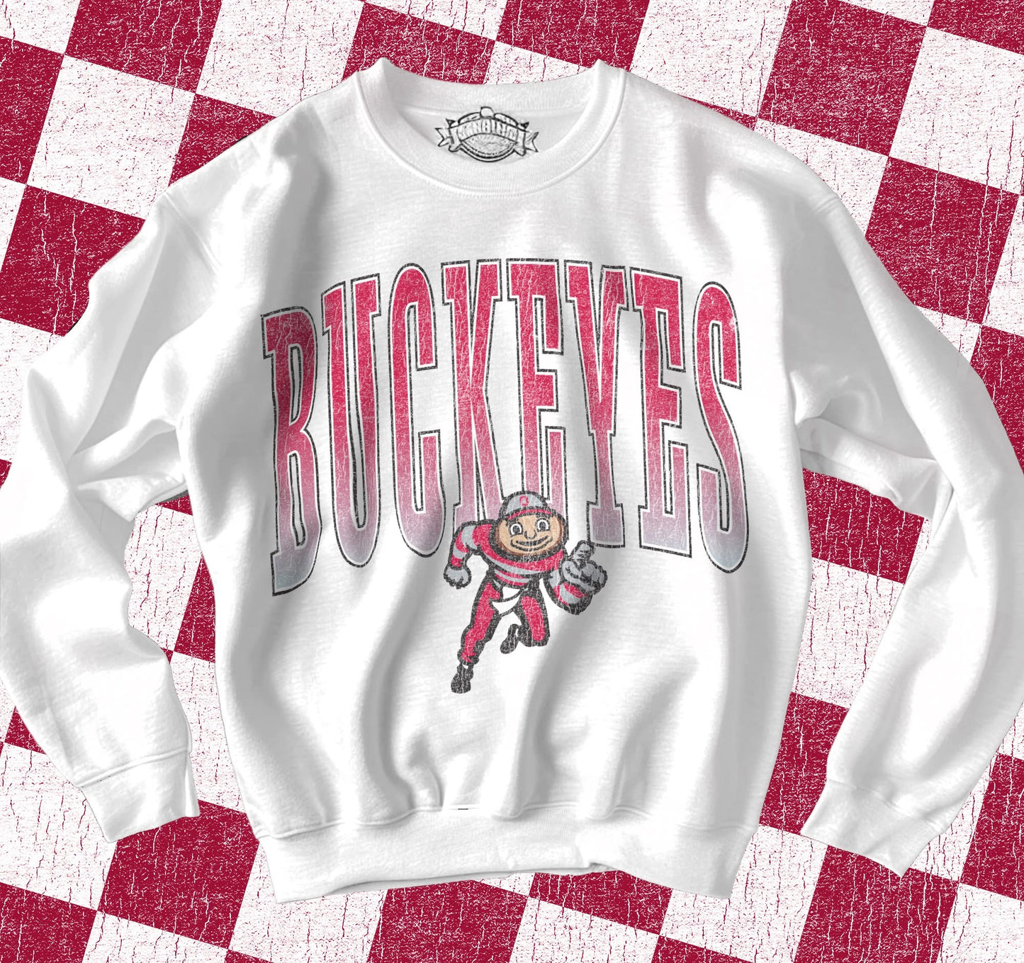 *OVERSIZED* College Football Sweatshirts