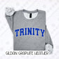 Trinity Varsity (Tee, Sweatshirt, or Long-Sleeve)