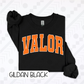 Oversized Varsity Schools/Occupations (Tee, Sweatshirt, or Long-Sleeve)