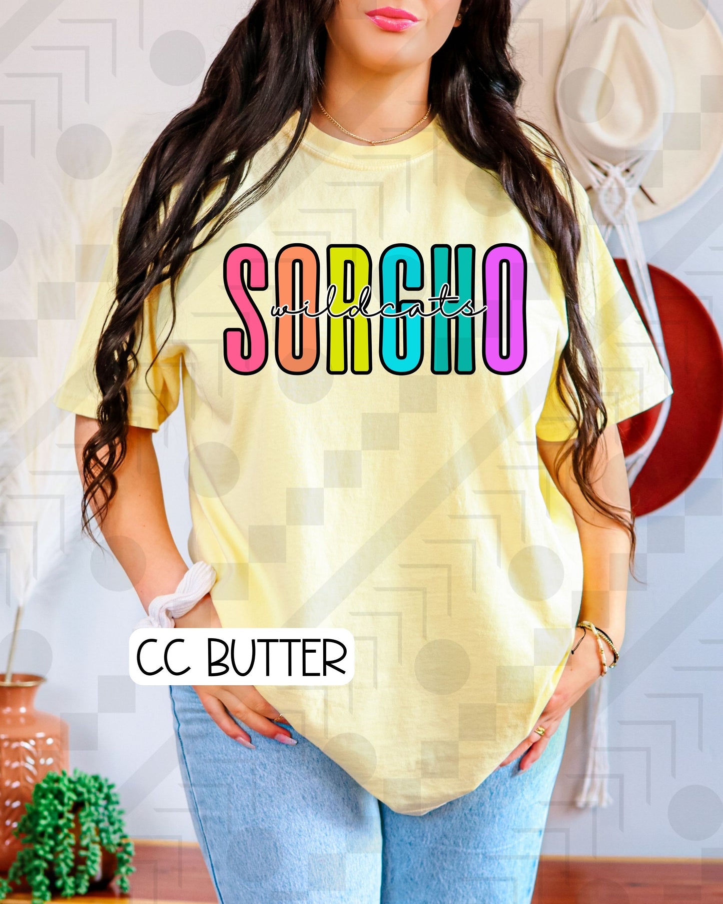P. Condensed Schools (Tee, Sweatshirt, or Long-Sleeve)