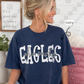 Ohio County Eagles Squiggles (Tee, Sweatshirt, or Long-Sleeve)