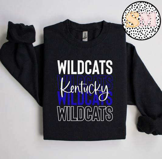 Wildcatsx4 Kentucky
