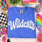 Athletic Swoosh Schools (Tee, Sweatshirt, or Long-Sleeve)