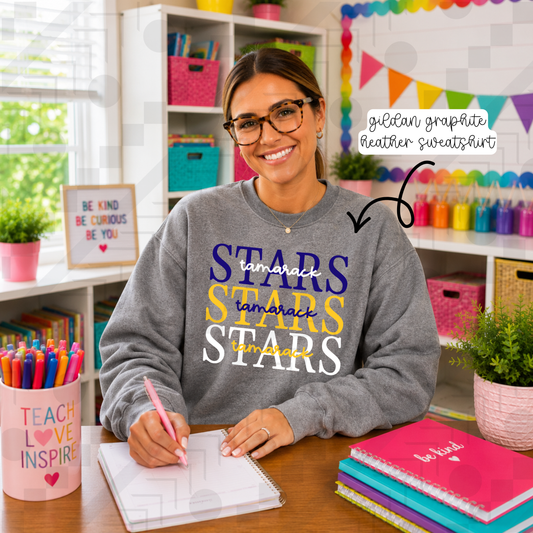 Classic Stack Schools (Tee, Sweatshirt, or Long-Sleeves)