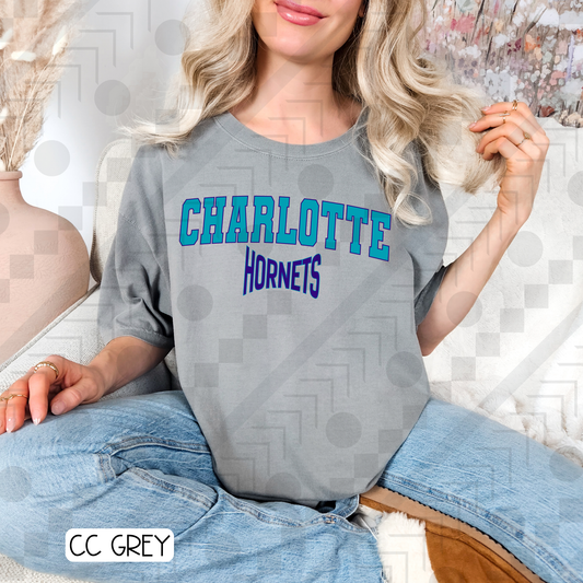 Charlotte Hornets Varsity Arch (Tee, Sweatshirt, or Long-Sleeve)