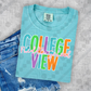 College View Summer Cursive