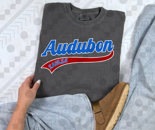 Audubon Eagles Baseball Banner
