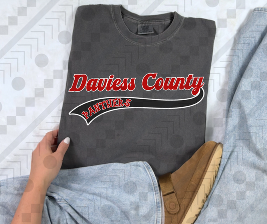 Daviess County Panthers Baseball Banner