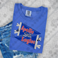 Apollo Eagles Pennant Bow