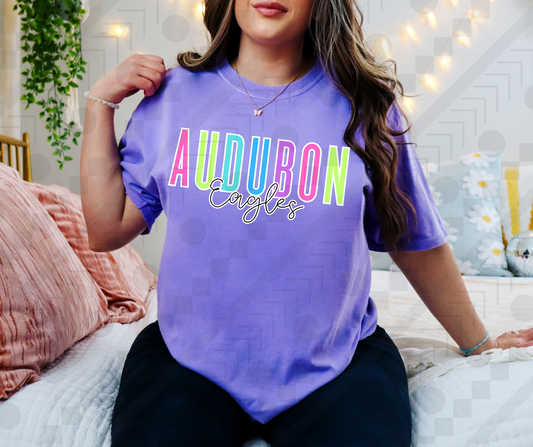 Audubon Eagles Neon Spaced